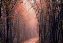 爱游戏APP-北欧童话再续！丹麦逆境重生改写剧本