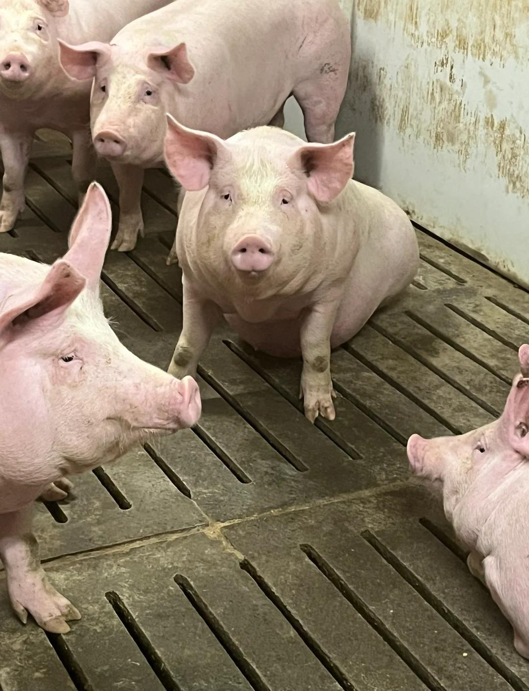 比尔包斯罗士气高涨,期待取得好成绩 比尔包斯罗士气高涨,期待取得好成绩