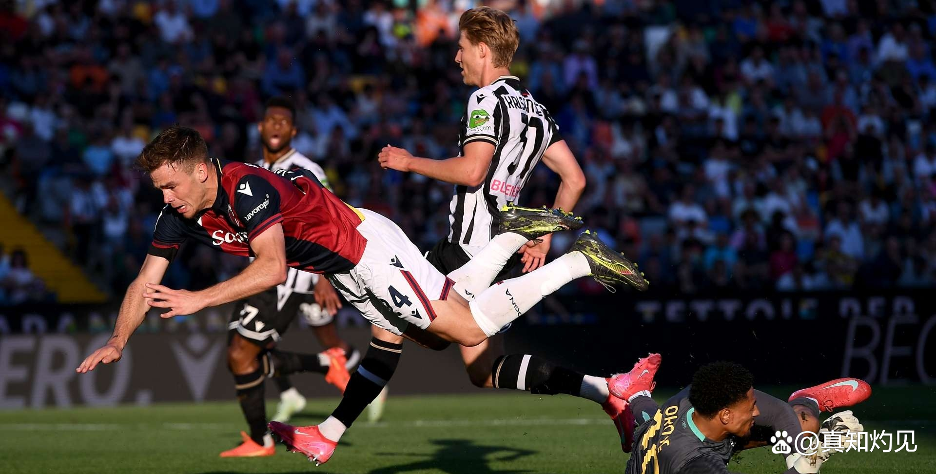 乌迪内斯客场战胜博洛尼亚,积分稳定 乌迪内斯客场战胜博洛尼亚,积分稳定